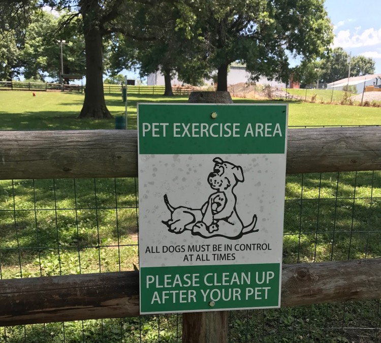wiggly-field-dog-park-photo